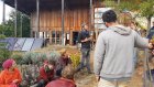 VisiteLeBattementd_ailes1536x864.jpg
