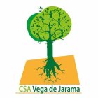 CSA_LOGO1.jpg