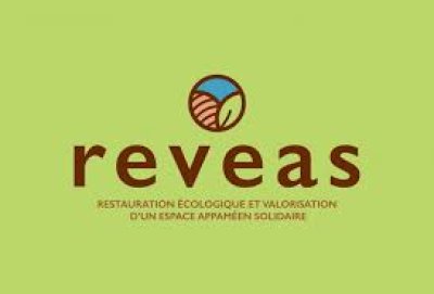 Logo_REVEAS.jpg